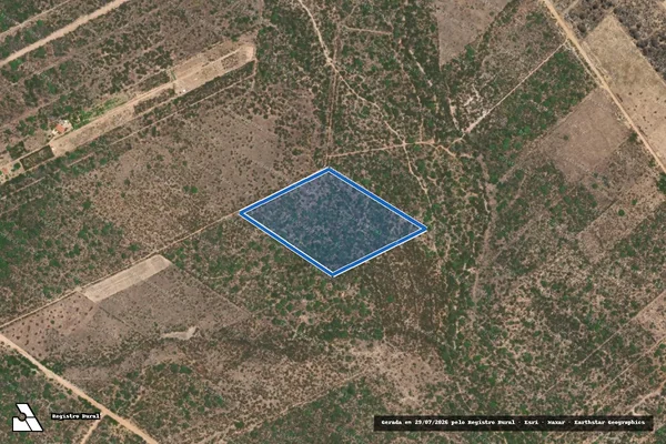 Imagem de satélite de Lote 07 ? Projeto de Assentamento Terras da Liberdade - Lote 07 ? Projeto de Assentamento Terras da Liberdade em Petrolina - PE