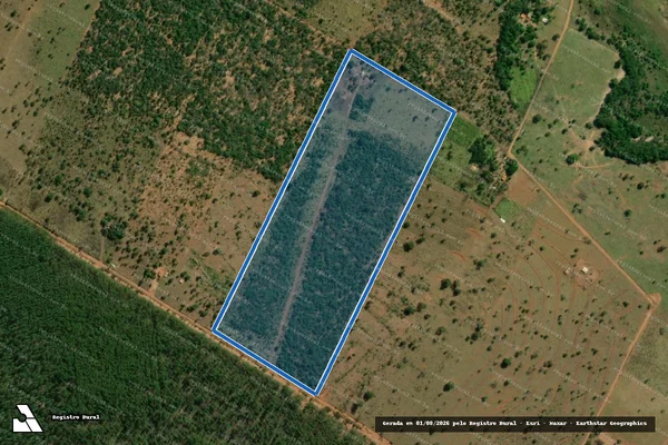 Imagem de satélite de PROJETO DE ASSENTAMENTO CANOAS - Lote 04 em Selvíria - MS