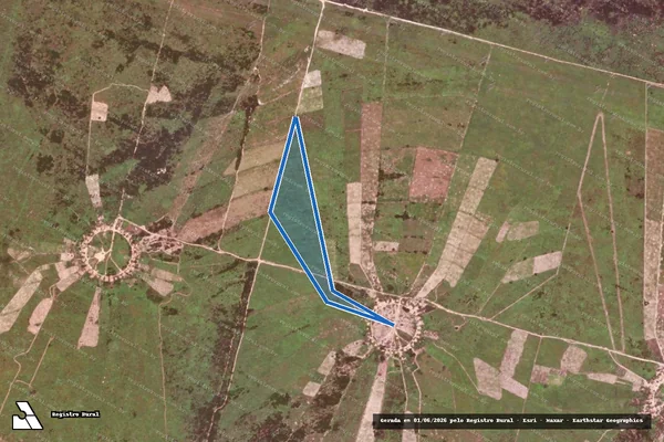 Imagem de satélite de FAZENDA VALE DO GURGUÉIA/CAJUNORTE - Célula T ? Lote 28 em Canto do Buriti - PI