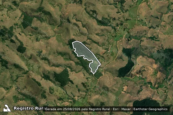 Imagem de satélite de Imóvel PCH Santa Cecília - Gleba A em Miraí - MG