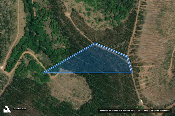 Imagem de satélite de Fazenda Boa Vista - GLEBA CXXIV em Açucena - MG