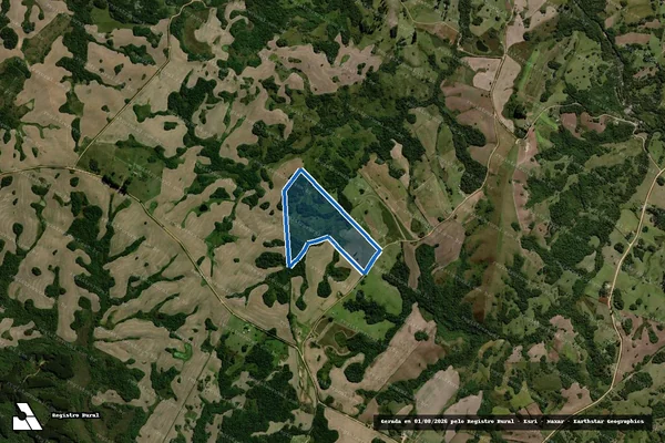 Imagem de satélite de PE PASSO DO MOINHO em Piratini - RS