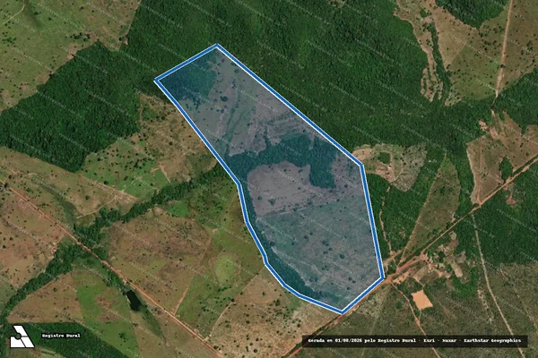 Imagem de satélite de Fazenda Cabeceira , Lote n° 533 - Parcela 1 em Araguatins - TO