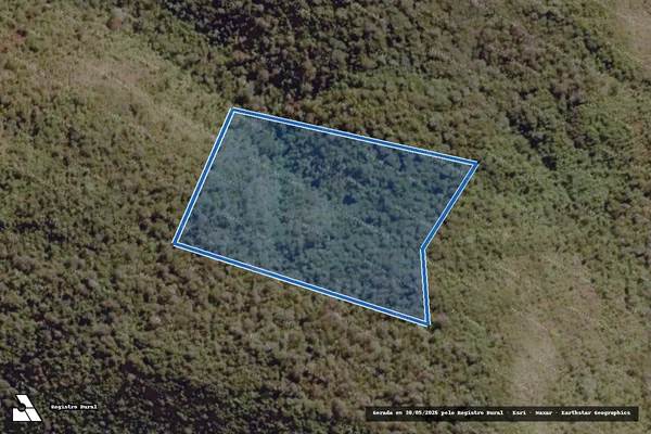 Imagem de satélite de FAZENDA MONTE AZUL - Remanescente 03 em Boa Vista do Tupim - BA