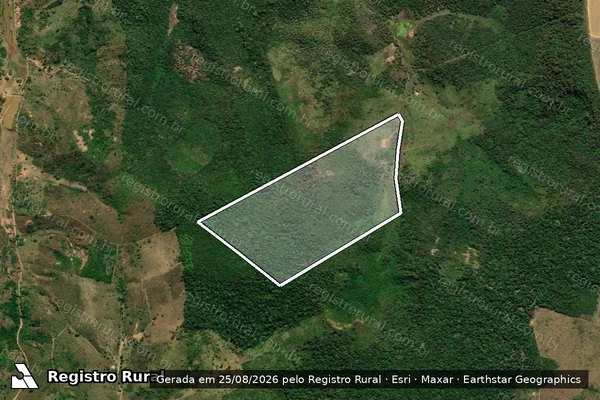 Imagem de satélite de FAZENDA UNIÃO - FAZENDA BOA ESPERANCA em Lagoa Grande do Maranhão - MA