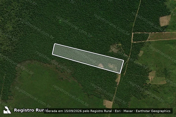 Imagem de satélite de FAZ. MACIEL - LOTE 113 - ASSOCIAÇÃO DOS AGRICULTORES DA VILA REAL - P.A. CACHIMBEIRO / Parte 1