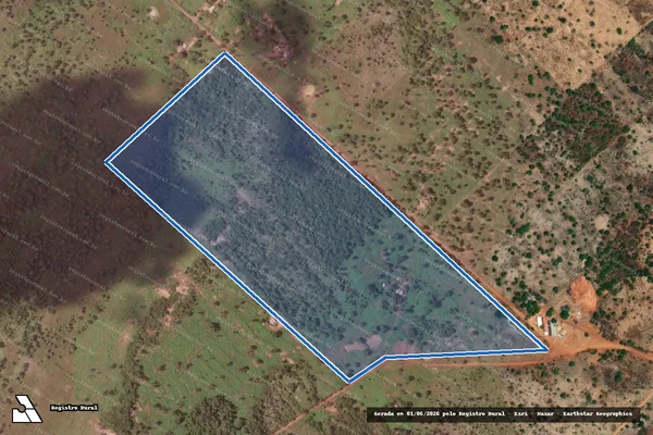 Imagem de satélite de LOTE 103  - PA SANTA FÉ - LOTE 103 PA SANTA FÉ em Flores de Goiás - GO
