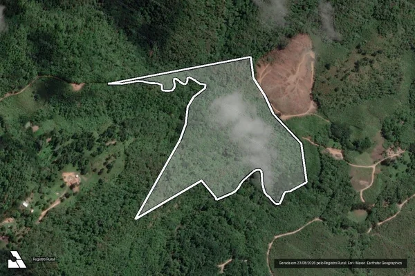 Imagem de satélite de LOTE RURAL - LOTE RURAL em Campo Largo - PR