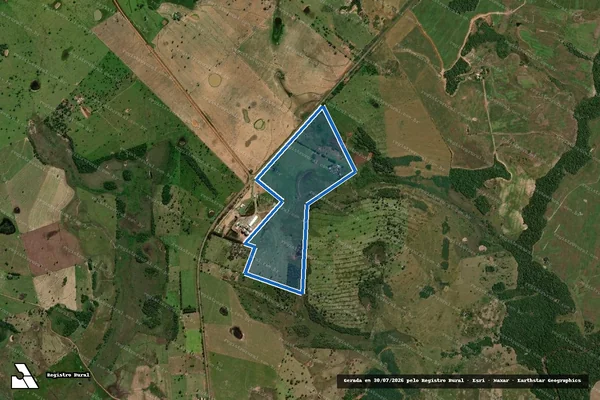 Imagem de satélite de Fazenda Flor da Terra - Área Remanescente em Bela Vista - MS
