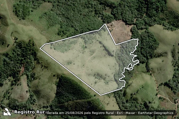 Imagem de satélite de TERRENO RURAL BAIRRO DA PAINA - Parte 1 em Castro - PR