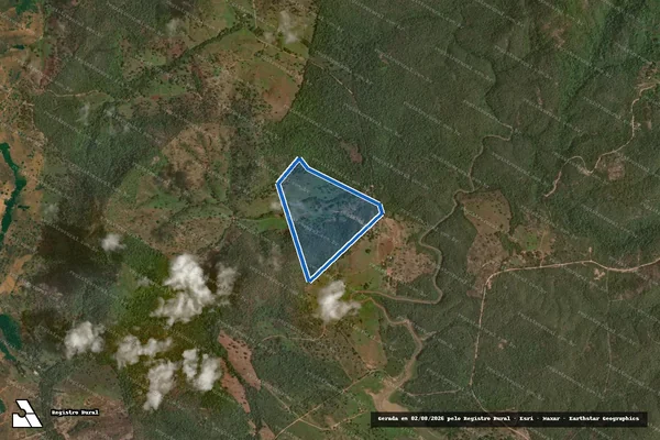 Imagem de satélite de FAZENDA PALMEIRAL, OCÃO OU PIADO - 001 em Uruaçu - GO