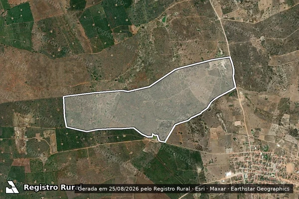 Imagem de satélite de FAZENDA PAU D?ARCO - PARCELA 001 em Santaluz - BA