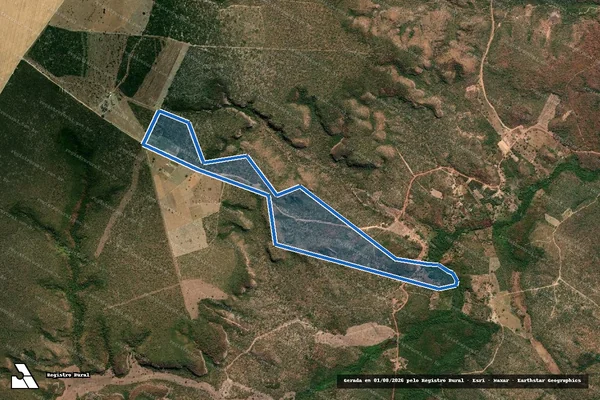 Imagem de satélite de Fazenda Novo Sítio - Fazenda Novo Sítio ? Gleba A em Baixa Grande do Ribeiro - PI