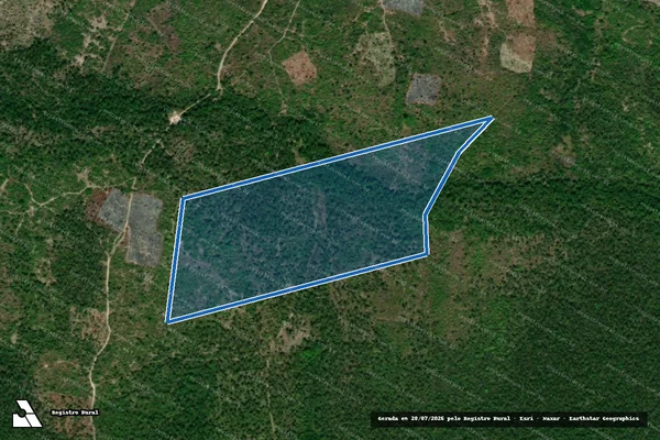 Imagem de satélite de FAZENDA NOVA  - Parte 20 em Codó - MA