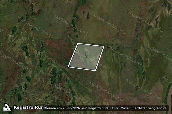 Imagem de satélite de FAZENDA TRÊS IRMÃOS ? ÁREA REMANESCENTE - ESTÂNCIA CARLITO em Naviraí - MS