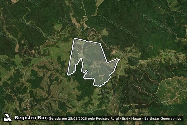 Imagem de satélite de SN  - ÁREA REMANESCENTE em Joinville - SC