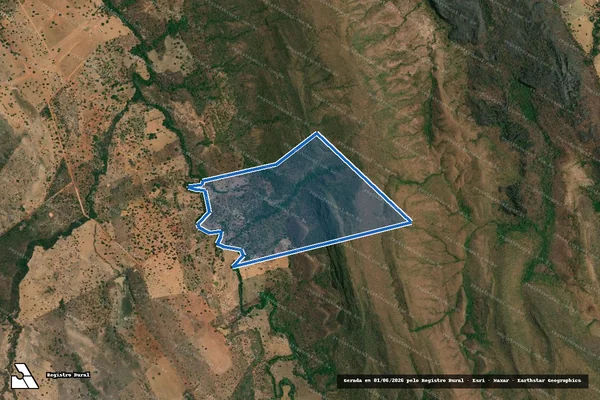 Imagem de satélite de FAZENDA MUSUNGO DENOMINADA FAZENDA SANTA MARIA em Flores de Goiás - GO