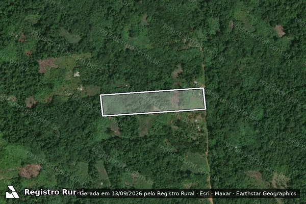Imagem de satélite de PARCELAS GLEBA UAUPÉS - LOTE 224 em São Gabriel da Cachoeira - AM
