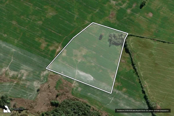 Imagem de satélite de Fazenda Santa Bárbara – Parte nº 15 / Parcela 1 em Palmeira - PR