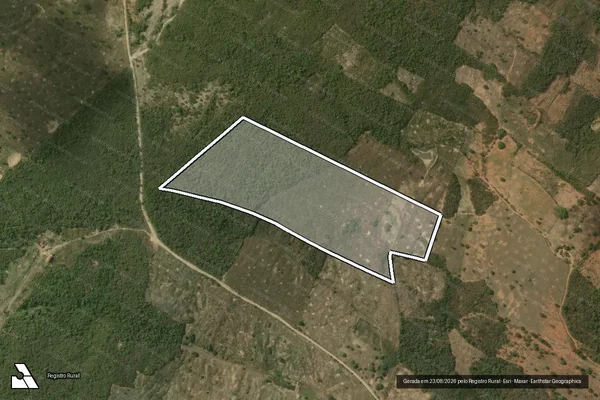 Imagem de satélite de SITIO CABEÇA DO PORCO OU AREIAS - AREA_2 em Princesa Isabel - PB