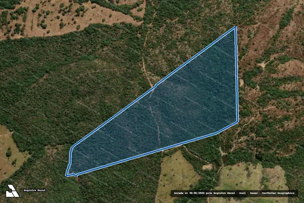 Imagem de satélite de FAZENDA VARGEM OU CAPINAL E MATO GRANDE - Gleba 01 em Vila Propício - GO