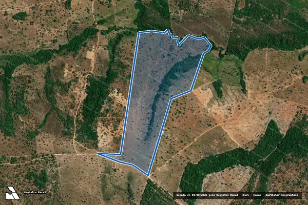 Imagem de satélite de Fazenda Boa Esperança - Matrícula 709 em Palmeirante - TO