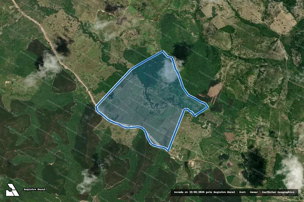 Imagem de satélite de FAZENDA RIACHO BRANCO - FAZENDA RIACHO BRANCO em Itanagra - BA