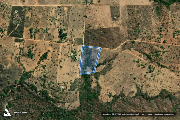 Imagem de satélite de FAZENDA VELHA OU BREJAO - GLEBA ? 29A em Formosa - GO