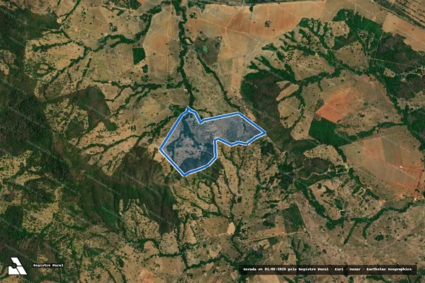 Imagem de satélite de FAZENDA TAMANDUA OU PINDAIBA em Iporá - GO