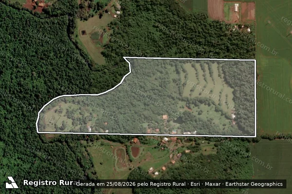 Imagem de satélite de Lote de terras rural n 198 do 6 perímetro do imóvel São Francisco ou Lopei  - Parte 1 em Cascavel - PR