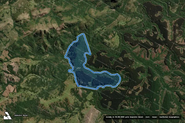 Imagem de satélite de Fazenda Cerro Alegre / Campo B em Piratini - RS