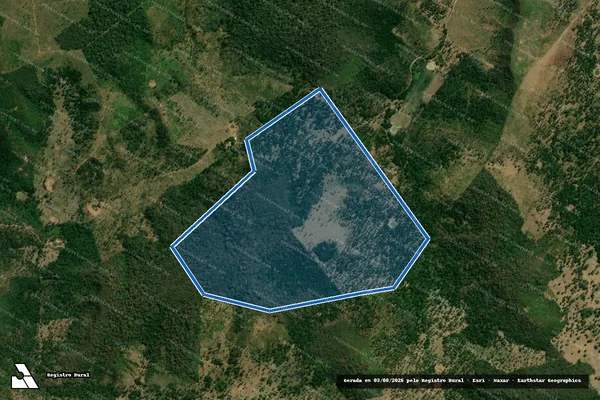 Imagem de satélite de FAZENDA MINAS DE PRATA - Parcela 1 em Itaipava do Grajaú - MA