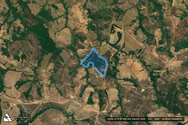 Imagem de satélite de Floresta - Floresta em Piedade do Rio Grande - MG