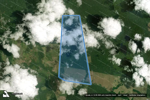 Imagem de satélite de FAZENDA RIO LAGOA - FAZENDA RIO LAGOA em Brasil Novo - PA
