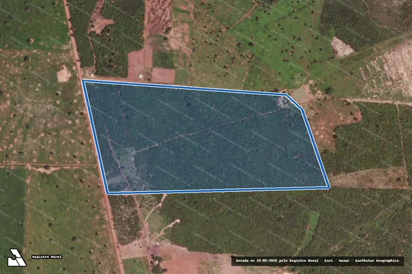 Imagem de satélite de PA FAZENDA  ALEGRE ? LOTE 62 - PARTE I em Flores de Goiás - GO