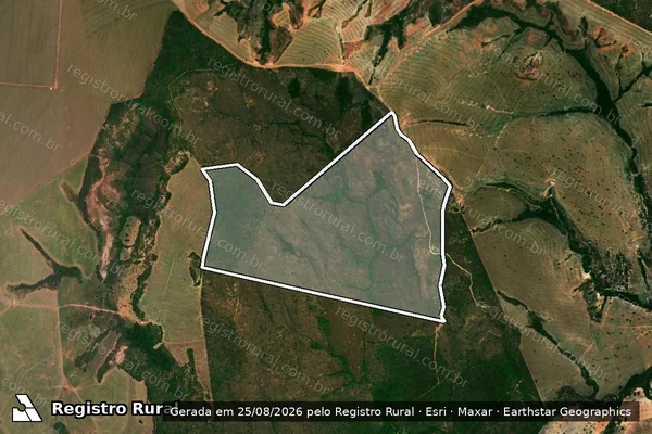 Imagem de satélite de FAZENDA MORRINHOS L.D. ASA BRANCA - Parcela 1 em Caiapônia - GO
