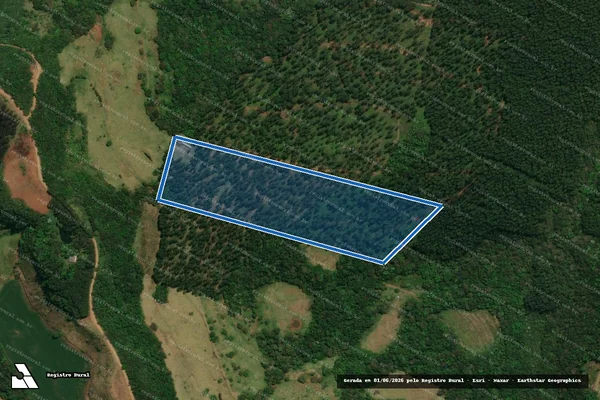 Imagem de satélite de LOTE RURAL N° 96-C DA GLEBA N° 37 - PARCELA 01 em Flor da Serra do Sul - PR
