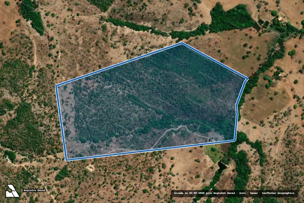 Imagem de satélite de FAZENDA ONÇA - Parte 1 em Guarinos - GO