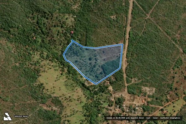 Imagem de satélite de FAZENDA DOIS IRMÃOS - 001 em Cavalcante - GO