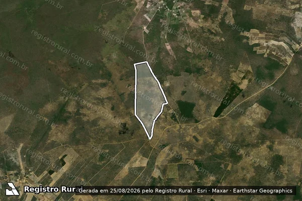 Imagem de satélite de FAZENDA BARAÚNAS - 01 em Tremedal - BA