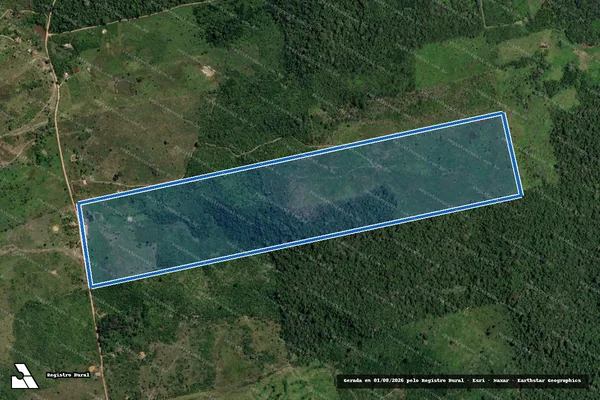 Imagem de satélite de FAZENDA SALOBÃO  - em Placas - PA