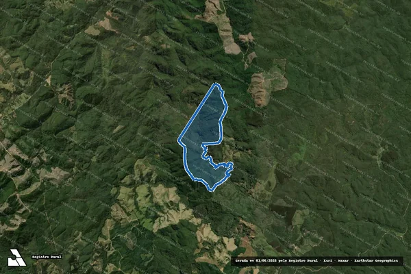 Imagem de satélite de Patos - Matrícula 2021 em Bocaiúva do Sul - PR