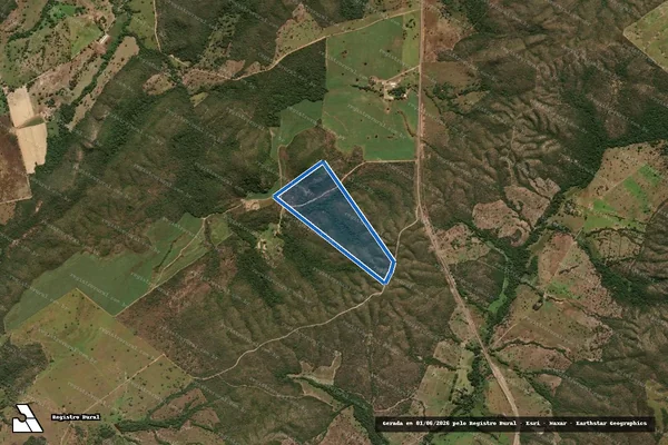 Imagem de satélite de FAZENDA COLUMBI - Gleba 2A em Goianésia - GO