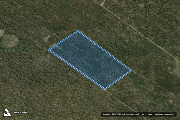Imagem de satélite de Fazenda Torrinha - Lote 25 em Barra - BA