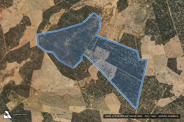 Imagem de satélite de Sítio Romão, Fazenda Gaxeiro - Gleba 02 em Afrânio - PE
