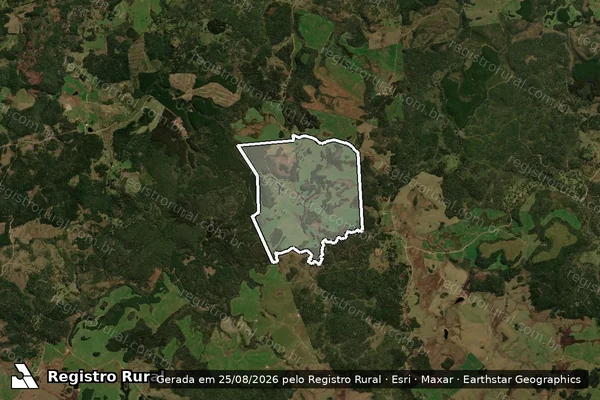 Imagem de satélite de Fazenda Invernada da Boiada - Única em Palmas - PR
