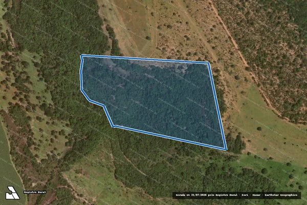 Imagem de satélite de FAZENDA SALTO - 001 em Mineiros - GO