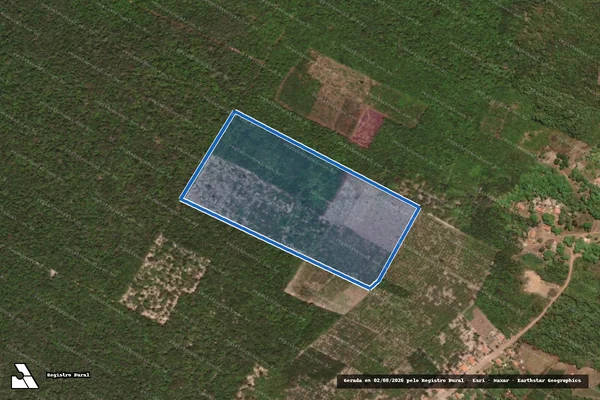 Imagem de satélite de SAO BENEDITO - LOTE 13 em Cocal - PI