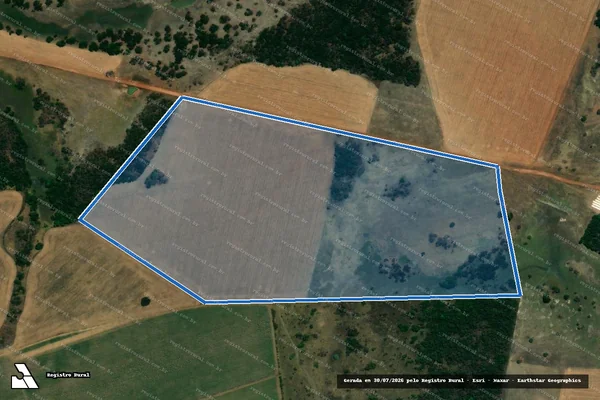 Imagem de satélite de FAZENDA NOVA ESPERANÇA - Gleba 04 em Acreúna - GO