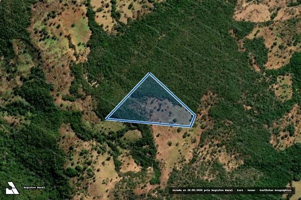Imagem de satélite de FAZENDA CORREGO DAS VACAS - 001 em Diorama - GO